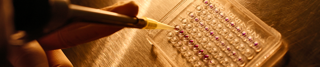 ASPIC - Associação Portuguesa de Investigação em Cancro